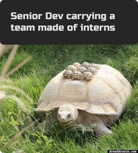 Carrying the entire intern team