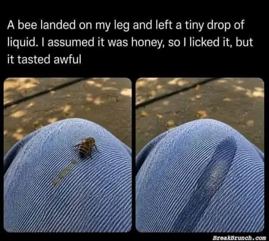 Is it bee poop?