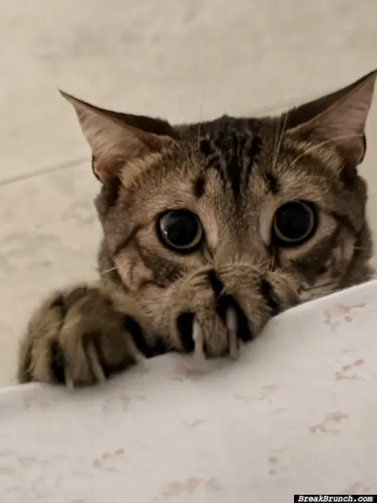 Why don’t you say hi