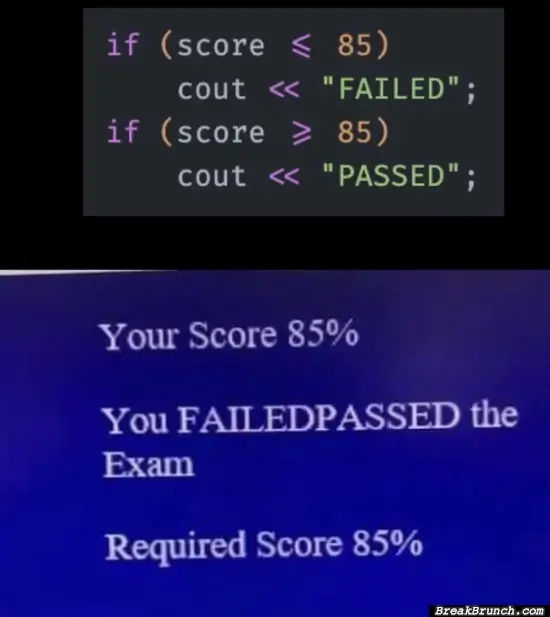 I love programming