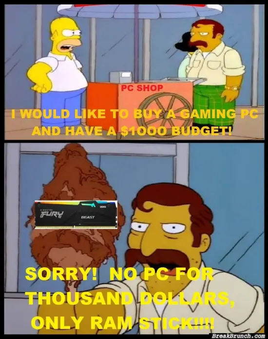 Ram stick cost more than my pc I built from 2 years ago