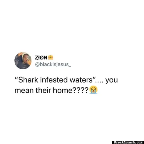 It is their homes